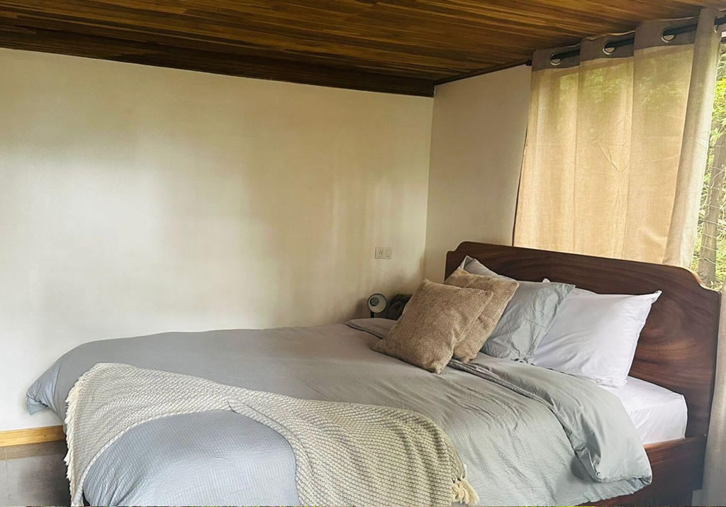 Studio Cabin with Balcony